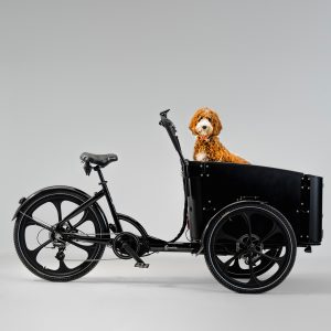 Cargobike Delight Dog